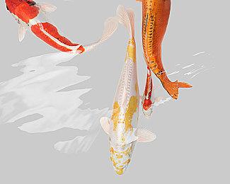 恐怖射击游戏《量子误差》官方实机预告